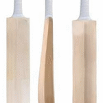 Willow Cricket Bats